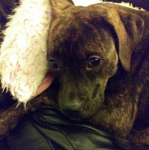 Meet your Posher, Eileen